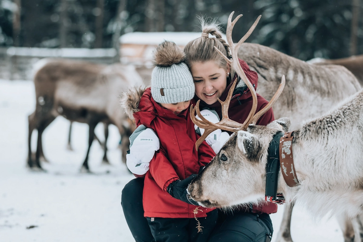 Kujala Reindeer Farm visit in Kuusamo