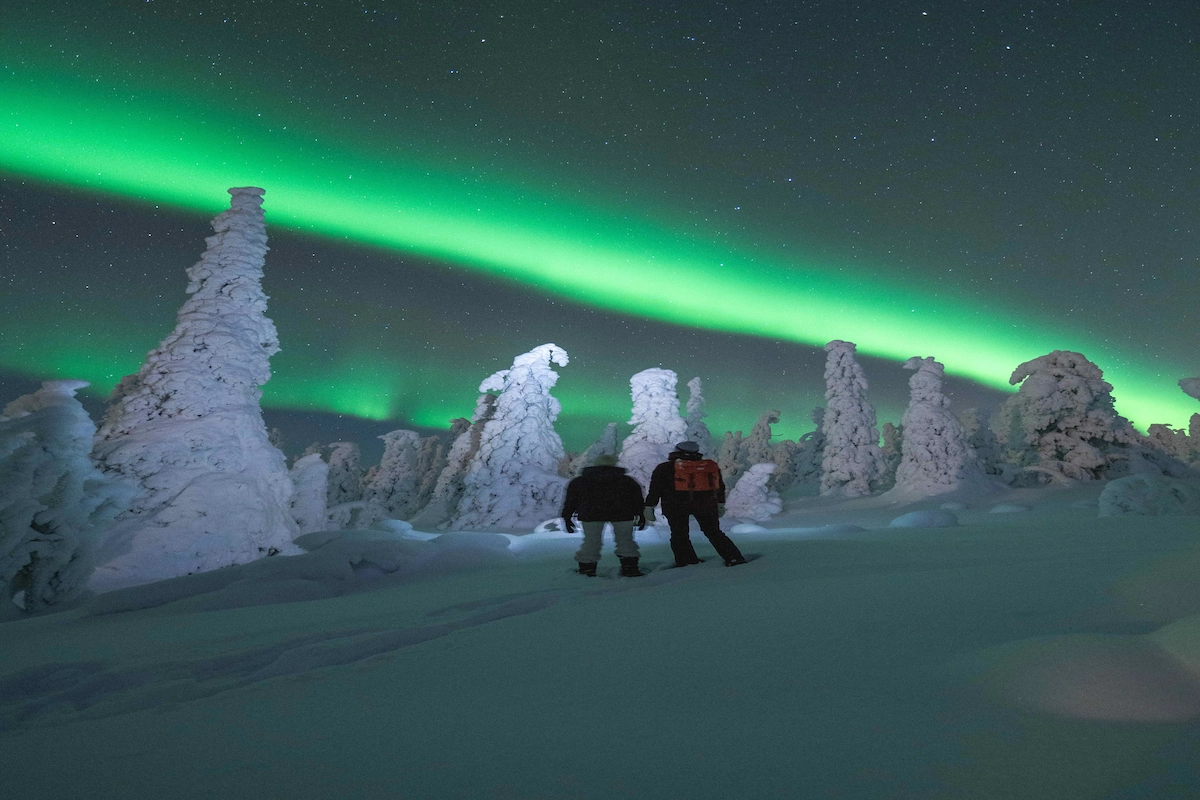 North Wind Lapland Tours in Ylläs
