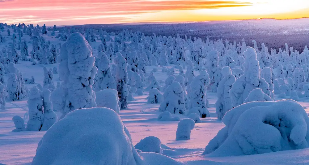 Paid parking in Lapland National Parks starts 1 September 2026