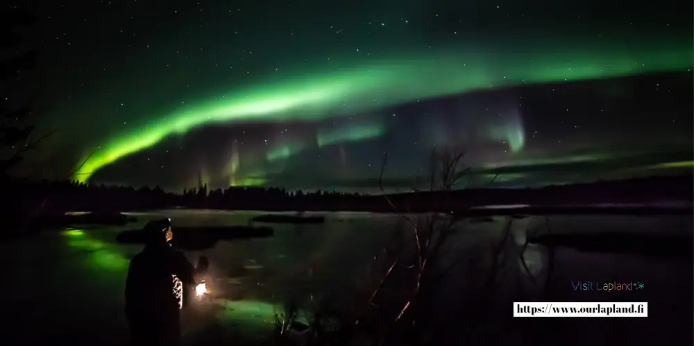 Ranua Wildlife Park Day Trip from Rovaniemi