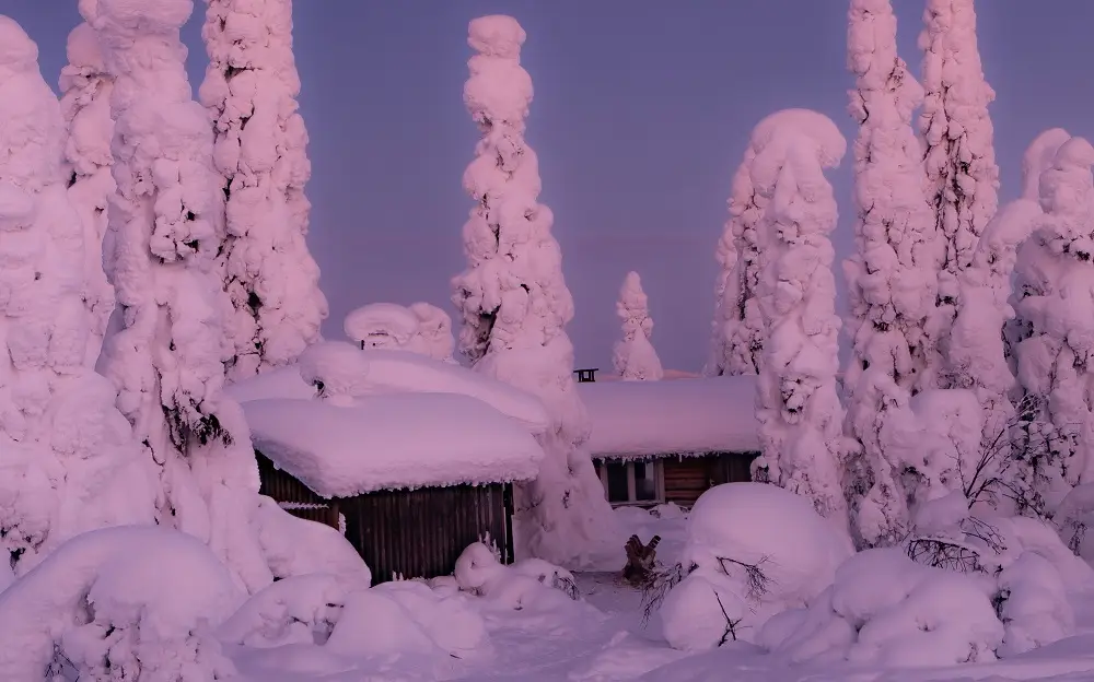 Popularity of Finnish National Parks Increasing: Strongest Growth in Lapland