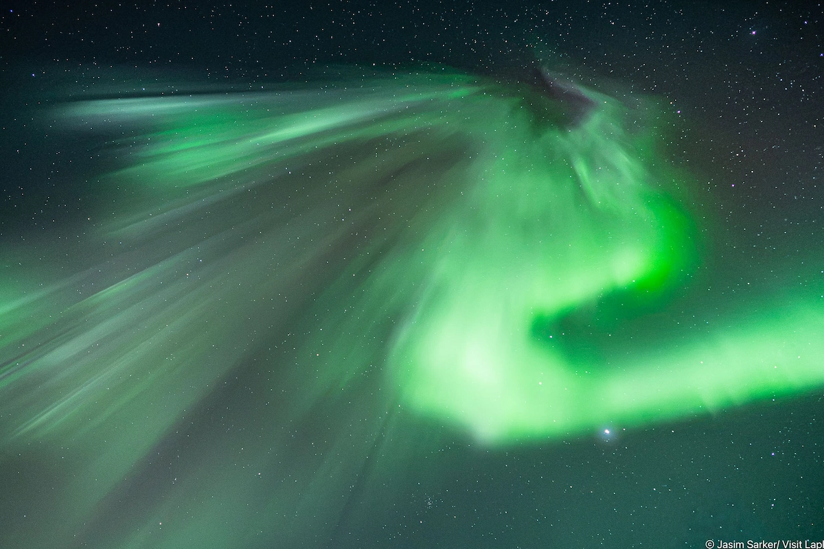 Wild About Lapland Tours in Rovaniemi