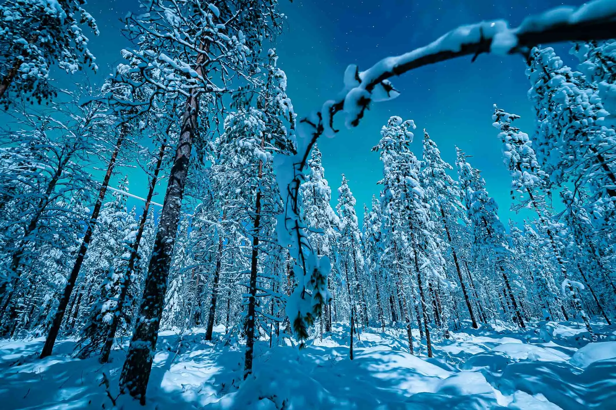 SnowVillage 2022 Recreates World’s Best-known Destinations: Opens 19 Dec
